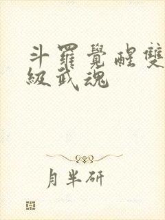 斗罗觉醒双生神级武魂