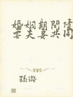婚姻期间债务需要夫妻共同承担吗