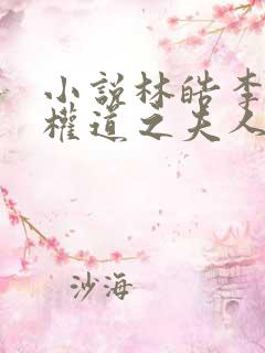 小说林皓李静怡权道之夫人们