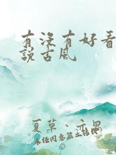 有没有好看的小说古风