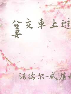 公交车上进入人妻