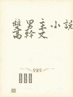 双男主小说推荐高干文