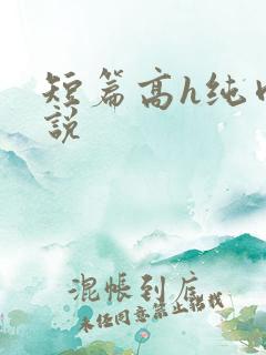 短篇高h纯肉小说