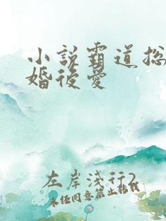 小说霸道总裁先婚后爱