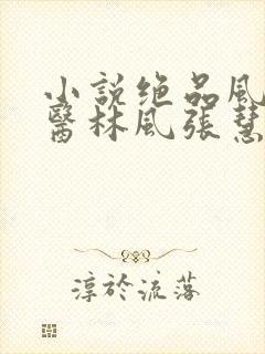 小说绝品风流狂医林风张慧全文免费阅读