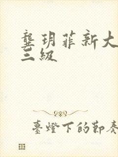 龚玥菲新大尺度三级