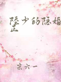 陆少的隐婚罪妻正