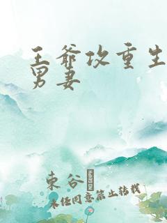 王爷攻重生宠溺男妻