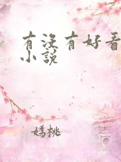 有没有好看的h小说
