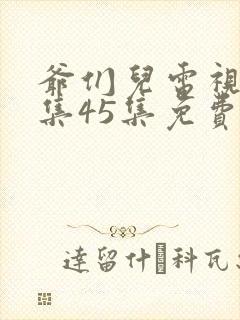 爷们儿电视剧全集45集免费观看