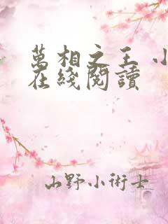 万相之王 小说在线阅读