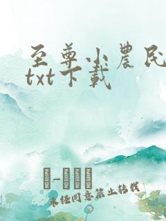 至尊小农民全文txt下载