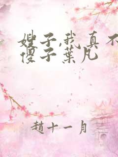 嫂子,我真不是傻子叶凡