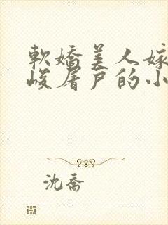 软娇美人嫁给冷峻屠户的小说