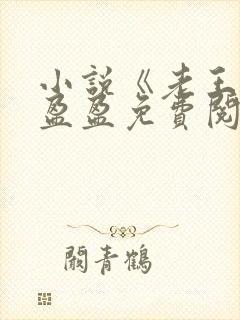 小说《老王》王盈盈免费阅读