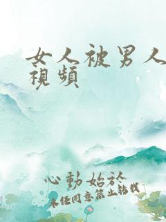女人被男人操爽视频