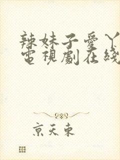 辣妹子爱丫爱丫电视剧在线观看