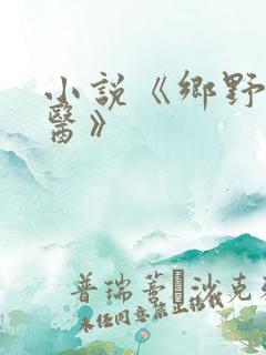 小说《乡野小傻医》