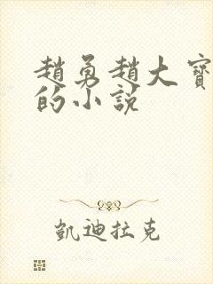 赵勇赵大宝苏媚的小说