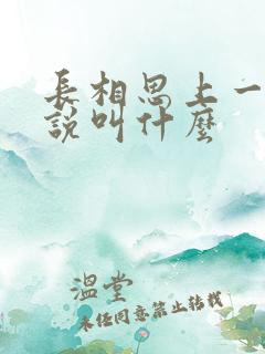 长相思上一部小说叫什么