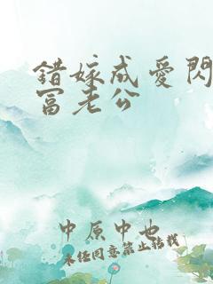 错嫁成爱闪婚首富老公