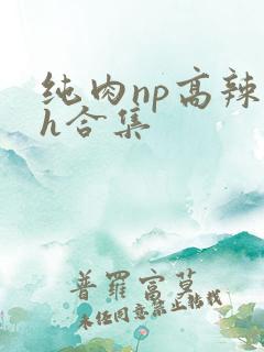 纯肉np高辣文h合集