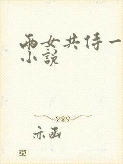 两女共侍一夫的小说