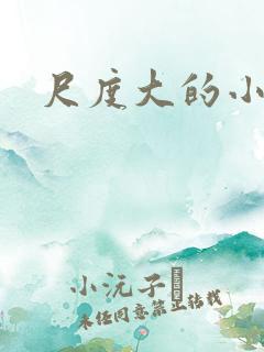 尺度大的小说网