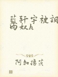 蓝轩宇被调教成肉奴h