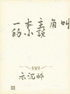 一本主角叫林洛的小说