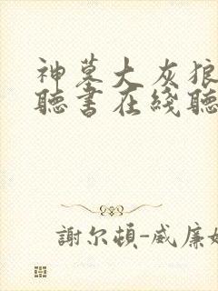 神墓大灰狼免费听书在线听