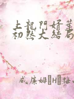 上龙门婿叶辰萧初然大结局