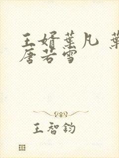 王婿叶凡 叶凡唐若雪