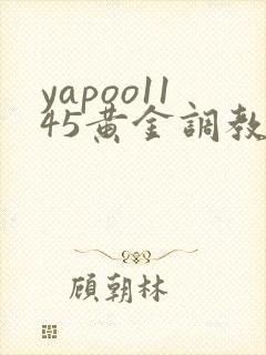 yapoo1145黄金调教vk