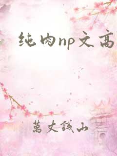 纯肉np文高h