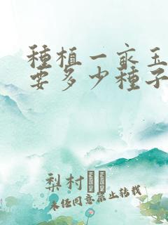 种植一亩玉米需要多少种子