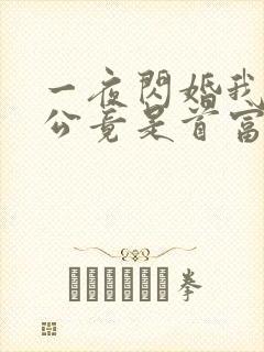 一夜闪婚我的老公竟是首富