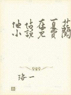 他站在夏花绚烂小说免费阅读的