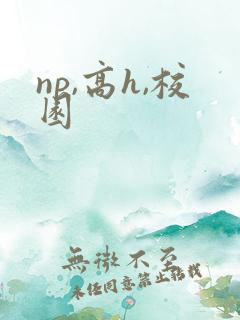 np,高h,校园