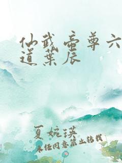 仙武帝尊六界三道叶辰