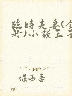 临时夫妻(全3册)小说王子群