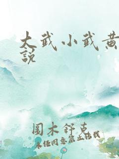 大武小武黄蓉小说