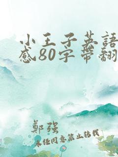 小王子英语读后感80字带翻译