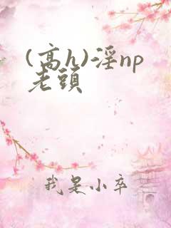 (高h)淫np老头