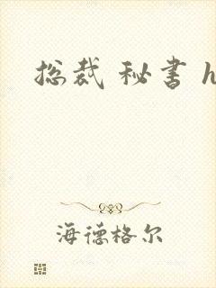 总裁 秘书 h