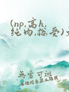 (np,高h,纯肉,总受)文