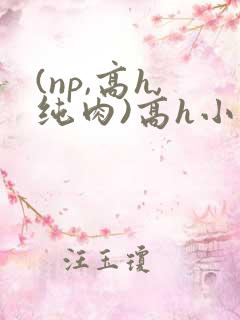 (np,高h,纯肉)高h小说