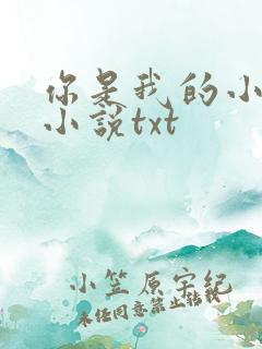 你是我的小确幸小说txt
