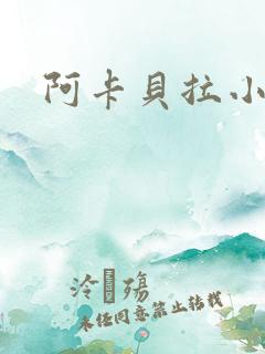 阿卡贝拉小说