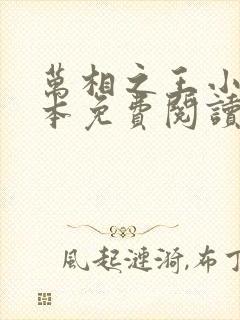 万相之王小说完本免费阅读